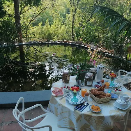 La Fuente Oase Bed & Breakfast *